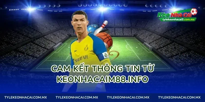 Cam kết thông tin từ tylekeo01.site