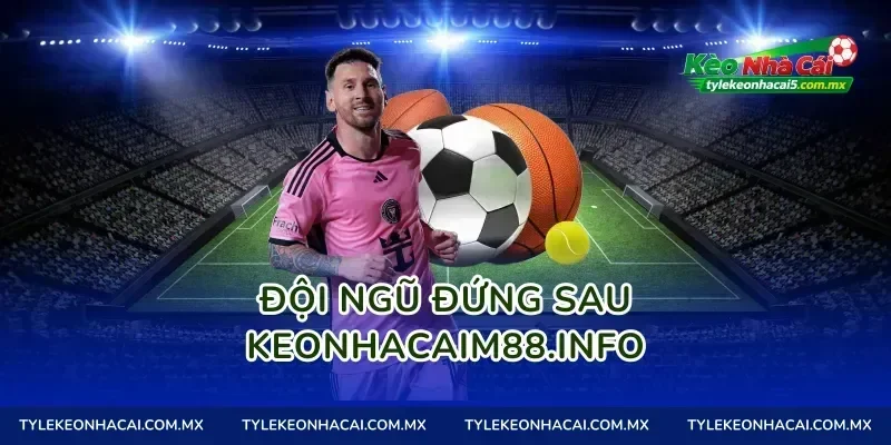 Đội ngũ đứng sau tylekeo01.site