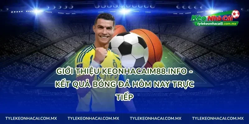 Giới thiệu tylekeo01.site - Kết quả bóng đá hôm nay trực tiếp