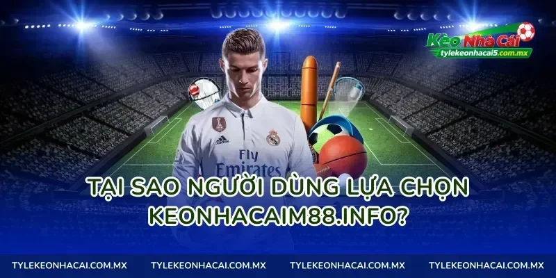 Tại sao người dùng lựa chọn tylekeo01.site?