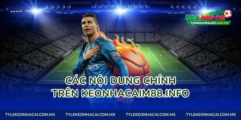 Các nội dung chính trên tylekeo01.site